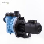 36 151019 Welldana1 Pumper Badu 90 Eco Motion 22 KW.closeup