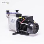 D36 192020 Welldana2 Pumper Ninfa pumpe