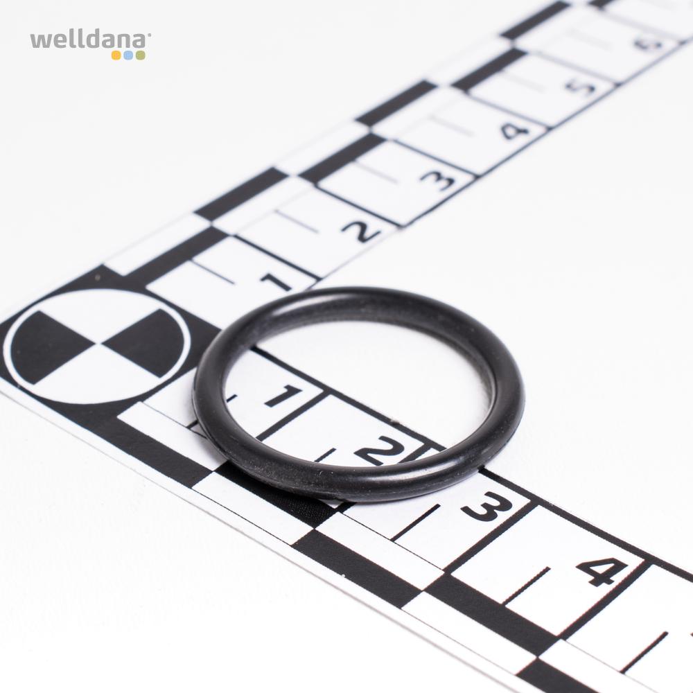 127107 Welldana1 Reservedele Oring fitting goldcircle PM5