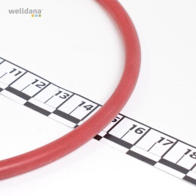 39 301391 Welldana1 Klorinator UV og Ozon Oring til klorinator model 30001394