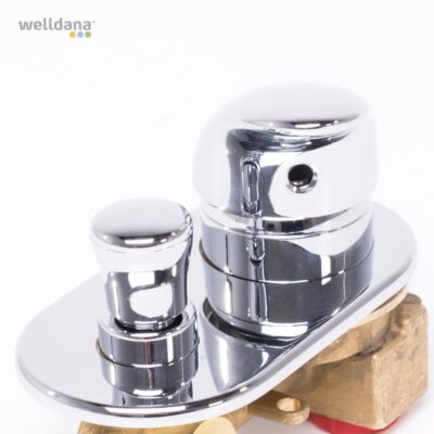 67 311010 Welldana1 Tilbehor Blandingsbatteri Krom A model
