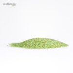 d4196600 welldana7 filtermedier og daisy afm aktiveret glas filtermedie.closeup6