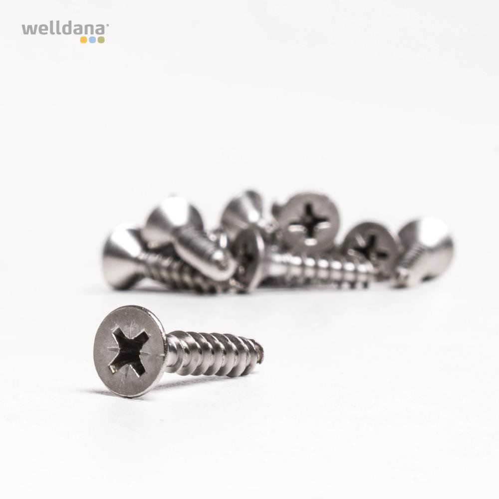 39 111220 welldana 1 liner skrue set til image poollampe