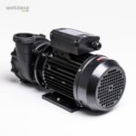 d66 550250 welldana 2 spa spa pumpe 1