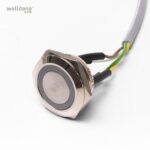 04 991023 welldana 1 piezo tryk