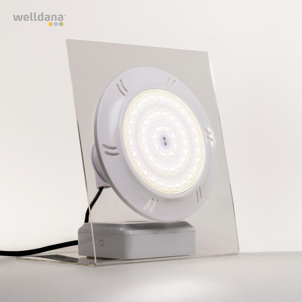d34 121070 welldana  0 led spectra dvs poollamper