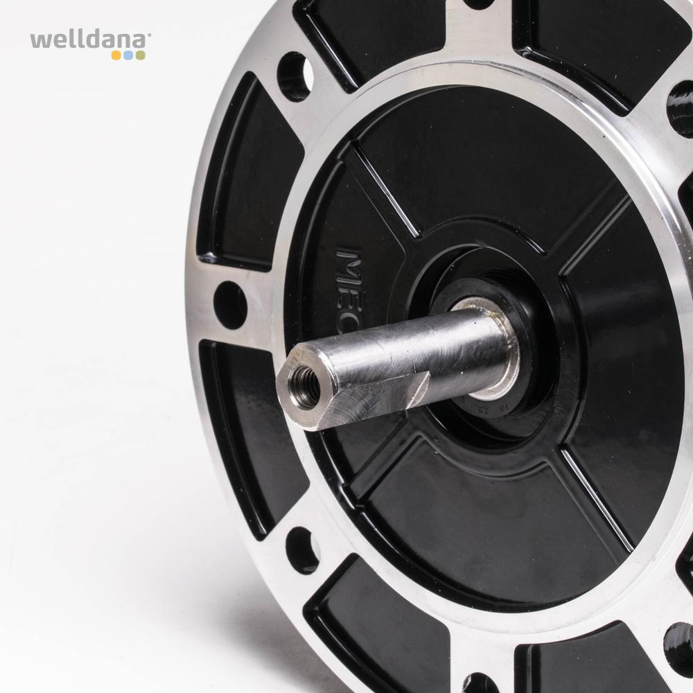 39 220005 welldana 1 motor f karpa kapri 3 0hk