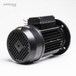 39 220005 welldana 2 motor f karpa kapri 3 0hk