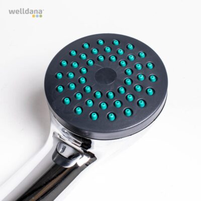 67 312010 welldana 1  brusehoved crome