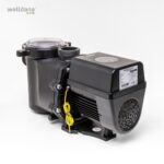 d36 140075 welldana 2 invereco pump