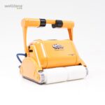 33 001004 welldana0 rengoring dolphin dynamic pro x2