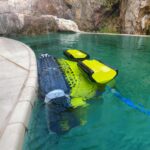 33 001014 welldana 3 dolphin supreme m5 bio pvc