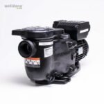 36 104250 welldana 0  pumper hayward max flo vari speed main 1 1