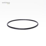 39 200300 welldana0 oring til laag koral
