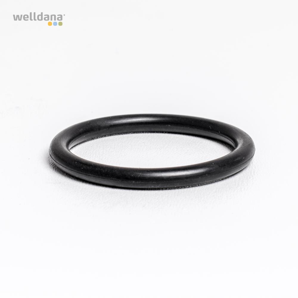 39 330089 welldana0 pool udstyr oring 25x3 39 330089 welldana0 pool udstyr oring 25x3