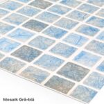 d38 670620 welldana 11 mosaik gra bla