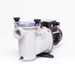d36 192020 welldana0 pumper ninfa pumpe