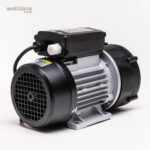 Spa pumpe 250W 230 V - Billede 2